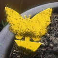 Yellow Flower Sticky Insect Traps (5 Pack)