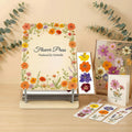 Professional Wooden Flower Press Kit