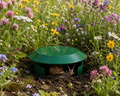 Snail & Slug Trap